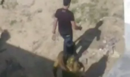 Los hombres calientan artificialmente la casa y dos vacas, jóvenes videos eroticos romanticos